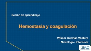 Hemostasia y coagulación
Wilmer Guzmán Ventura
Nefrólogo - Internista
Sesión de aprendizaje
 