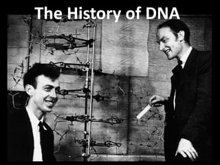The History of DNA 