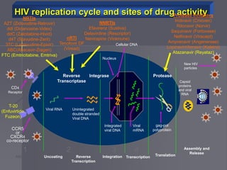 HIV replication cycle and sites of drug activity
Capsid
proteins
and viral
RNA
CD4
Receptor
Viral RNA
New HIV
particles
Protease
Attachment Uncoating Reverse
Transcription
Integration Transcription Translation
Reverse
Transcriptase
Unintegrated
double stranded
Viral DNA
Integrated
viral DNA
Viral
mRNA
Integrase
gag-pol
polyprotein
1 2 3 4 5
6
Assembly and
Release
Protease Inhibitors
Indinavir (Crixivan)
Ritonavir (Norvir)
Saquinavir (Fortovase)
Nelfinavir (Viracept)
Amprenavir (Angenerase)
Lopinavir/ritonavir (Kaletra)
Atazanavir (Reyataz)
NRTIs
AZT (Zidovudine-Retrovir)
ddI (Didanosine-Videx)
ddC (Zalcitabine-Hivid)
d4T (Stavudine-Zerit)
3TC (Lamivudine-Epivir)
ABC(Abacavir-Ziagen)
FTC (Emtricitabine, Emtriva)
NNRTIs
Efavirenz (Sustiva)
Delavirdine (Rescriptor)
Nevirapine (Viramune)
Nucleus
Cellular DNA
CCR5
or
CXCR4
co-receptor
HIV Virions
nRTI
Tenofovir DF
(Viread)
T-20
(Enfuvirtide,
Fuzeon)
 