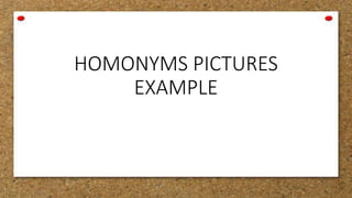 HOMONYMS PICTURES
EXAMPLE
 