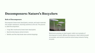 Deco po er : Nature' Recycler
Role of Deco po er
Decomposers break down dead plants, animals, and waste materials
into simpler substances, returning nutrients to the soil. This process
is called decomposition.
Fungi (like mushrooms) break down dead plants
Bacteria decompose animal remains
Beetles and flies help break down animal droppings
Mushrooms growing on dead organic matter are examples of
decomposers at work. Without decomposers, dead material would
accumulate, and nutrients would be locked away instead of being
recycled.
 