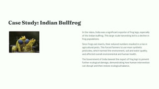 Ca e Study: I dia Bullfrog
In the 1980s, India was a significant exporter of frog legs, especially
of the Indian bullfrog. This large-scale harvesting led to a decline in
frog populations.
Since frogs eat insects, their reduced numbers resulted in a rise in
agricultural pests. This forced farmers to use more synthetic
pesticides, which harmed the environment, soil and water quality,
and affected overall environmental and human health.
The Government of India banned the export of frog legs to prevent
further ecological damage, demonstrating how human intervention
can disrupt and then restore ecological balance.
 