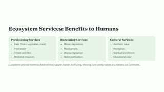 Eco y te Service : Be efit to Hu a
Provi io i g Service
Food (fruits, vegetables, meat)
Fresh water
Timber and fiber
Medicinal resources
Regulati g Service
Climate regulation
Flood control
Disease regulation
Water purification
Cultural Service
Aesthetic value
Recreation
Spiritual enrichment
Educational value
Ecosystems provide numerous benefits that support human well-being, showing how closely nature and humans are connected.
 