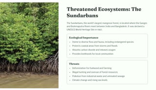 T reate ed Eco y te : T e
Su darba
The Sundarbans, the world's largest mangrove forest, is located where the Ganges
and Brahmaputra Rivers meet between India and Bangladesh. It was declared a
UNESCO World Heritage Site in 1987.
Ecological I porta ce
Home to diverse flora and fauna, including endangered species
Protects coastal areas from storms and floods
Absorbs carbon dioxide and releases oxygen
Provides livelihoods for local communities
T reat
Deforestation for fuelwood and farming
Illegal hunting and overuse of forest resources
Pollution from industrial waste and untreated sewage
Climate change and rising sea levels
 