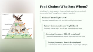 Food C ai : W o Eat W o ?
A food chain is a simple sequence showing 'who eats whom' in an ecosystem. It
represents the flow of energy from one organism to another.
Producer (Fir t Trop ic Level)
Plants and algae that make their own food through photosynthesis.
Pri ary Co u er (Seco d Trop ic Level)
Herbivores that eat plants, such as deer, grasshoppers, and hares.
Seco dary Co u er (T ird Trop ic Level)
Carnivores that eat herbivores, such as frogs, small birds, and foxes.
Tertiary Co u er (Fourt Trop ic Level)
Large carnivores that eat other carnivores, such as eagles and tigers.
 