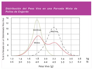 Distribución del Peso Vivo en una Parvada Mixta de
Pollos de Engorde
 