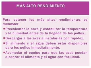 MÁS ALTO RENDIMIENTO
Para obtener los más altos rendimientos es
menester:
Precalentar la nave y estabilizar la temperatura
y la humedad antes de la llegada de los pollos.
Descargar a las aves e instalarlas con rapidez.
El alimento y el agua deben estar disponibles
para los pollos inmediatamente.
Acomodar el equipo para que las aves puedan
alcanzar el alimento y el agua con facilidad.
 