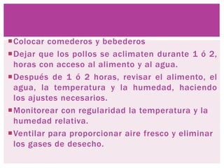 Colocar comederos y bebederos
Dejar que los pollos se aclimaten durante 1 ó 2,
horas con acceso al alimento y al agua.
Después de 1 ó 2 horas, revisar el alimento, el
agua, la temperatura y la humedad, haciendo
los ajustes necesarios.
Monitorear con regularidad la temperatura y la
humedad relativa.
Ventilar para proporcionar aire fresco y eliminar
los gases de desecho.
 