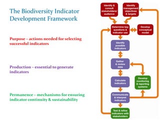 The Biodiversity Indicator
Development Framework
Purpose – actions needed for selecting
successful indicators
Production – essential to generate
indicators
Permanence – mechanisms for ensuring
indicator continuity & sustainability
 