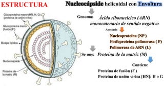 1, 2 introduccion replicacion.pptx