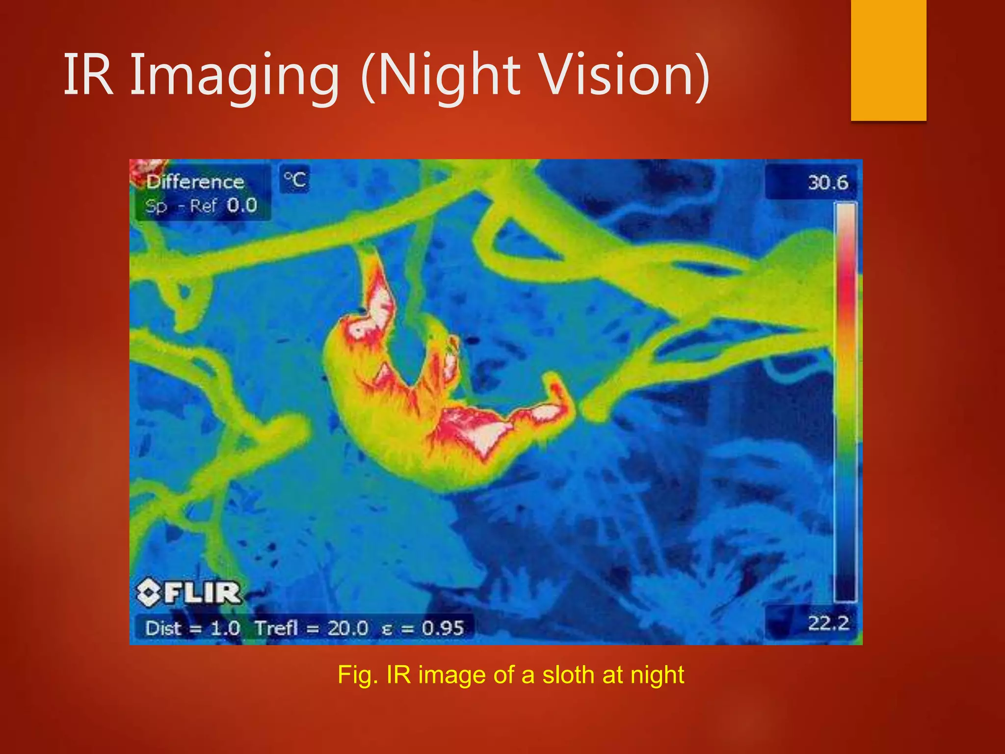 IR Imaging (Night Vision)
Fig. IR image of a sloth at night
 