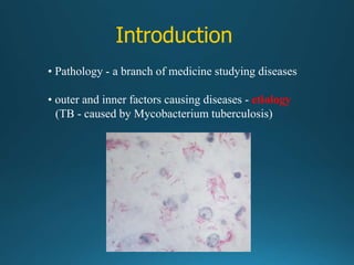 Introduction
• Pathology - a branch of medicine studying diseases
• outer and inner factors causing diseases - etiology
(TB - caused by Mycobacterium tuberculosis)
 