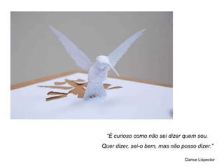 “É curioso como não sei dizer quem sou.
Quer dizer, sei-o bem, mas não posso dizer.”

                                Clarice Lispector
 