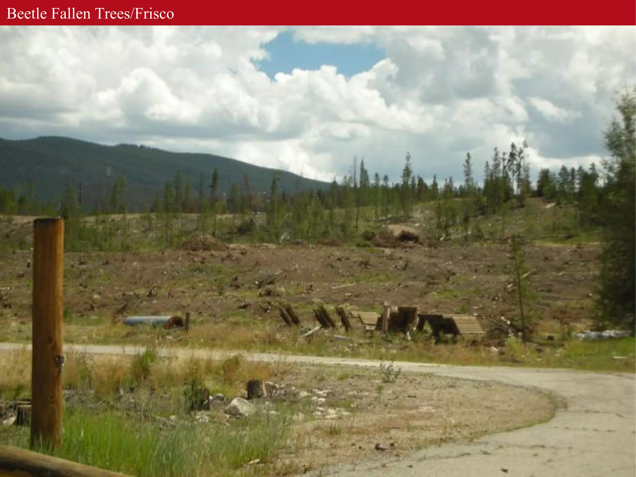 Jonathan Rose - JR LLC - Transformational Planning & Development