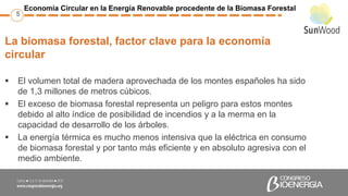 La biomasa forestal, factor clave para la economía
circular
 El volumen total de madera aprovechada de los montes español...