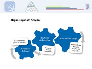 Organização da Secção: