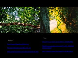 Videos
Webgrafia
                                                  http://www.youtube.com/watch?v=ulLU1BUJk8Q
http://www.infopedia.pt/$land-art
                                                  http://www.youtube.com/watch?v=nl8U_C3aL1c&f
http://pt.wikipedia.org/wiki/Land_Art             eature=related

http://www.kuriositas.com/2012/01/land-art.html   http://www.youtube.com/watch?v=risPwKGM8-0
 