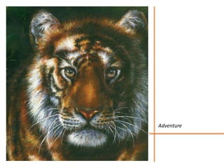 Adventure
 