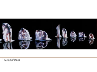 Metamorphosis
 
