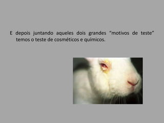 E depois juntando aqueles dois grandes “motivos de teste”
  temos o teste de cosméticos e químicos.
 