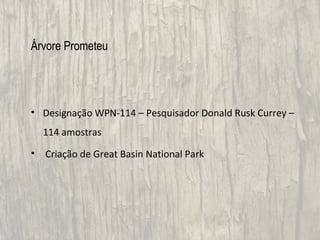 Árvore Prometeu




• Designação WPN-114 – Pesquisador Donald Rusk Currey –
    114 amostras
•   Criação de Great Basin National Park
 