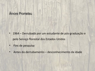 Árvore Prometeu




• 1964 – Derrubada por um estudante de pós-graduação e
    pelo Serviço florestal dos Estados Unidos
•   Fins de pesquisa
•   Antes do derrubamento – desconhecimento da idade
 