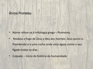 Árvore Prometeu




• Nome refere-se à mitologia grega – Prometeu

•   Roubou o fogo de Zeus e deu aos mortais. Zeus puniu-o.
    Prendendo-o a uma rocha onde uma águia comia o seu
    fígado todos os dias.
• Culpado – Início da história da humanidade
 