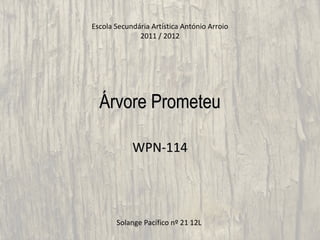 Escola Secundária Artística António Arroio
              2011 / 2012




  Árvore Prometeu

            WPN-114




       Solange Pacífico nº 21 12L
 