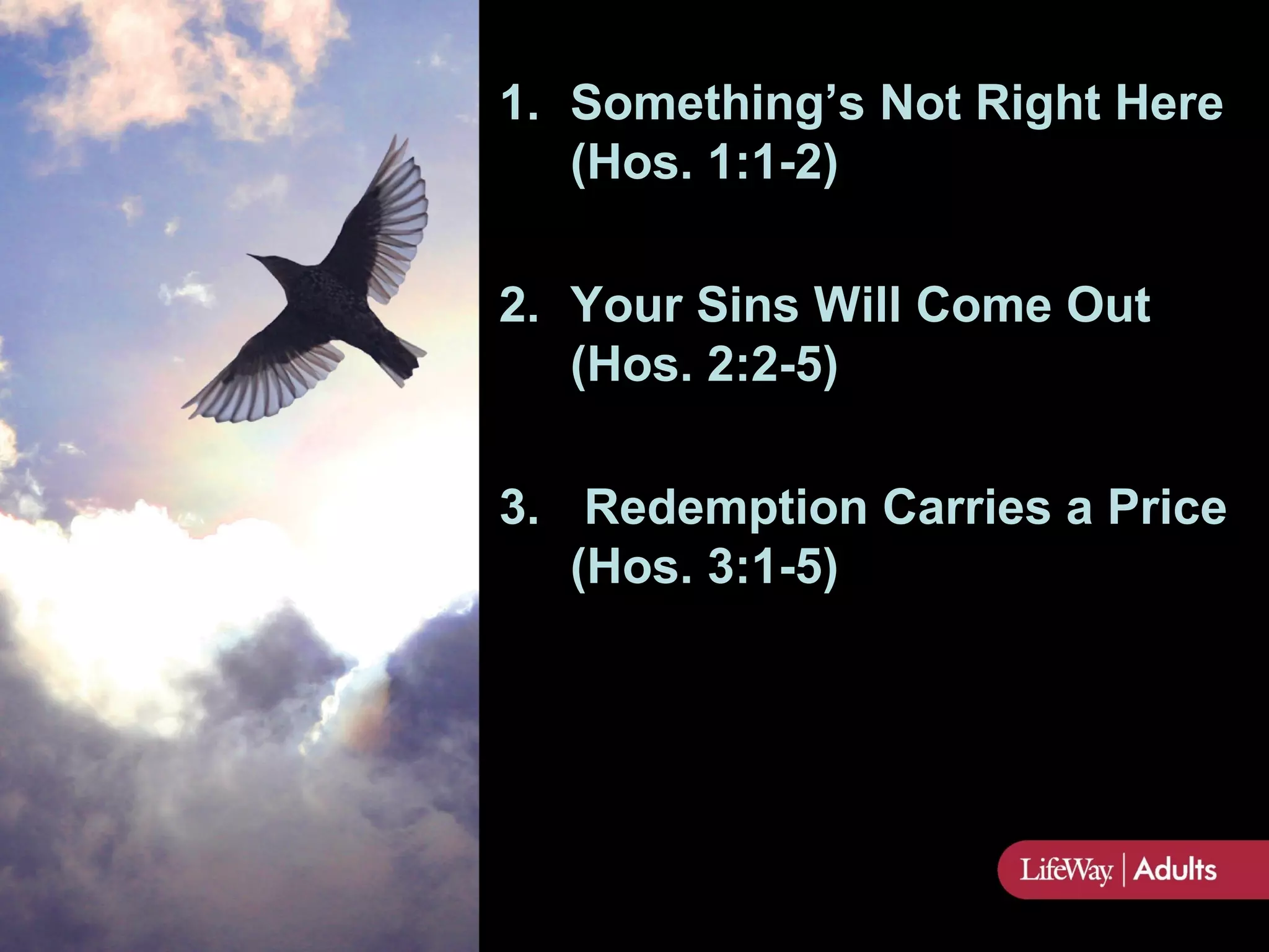 1. Something’s Not Right Here
   (Hos. 1:1-2)

2. Your Sins Will Come Out
   (Hos. 2:2-5)

3. Redemption Carries a Price
   (Hos. 3:1-5)
 
