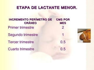 ETAPA DE LACTANTE MENOR.


INCREMENTO PERÍMETRO DE   CMS POR
        CRÁNEO              MES
Primer trimestre             2

Segundo trimestre            1

Tercer trimestre            0.5
Cuarto trimestre            0.5
 