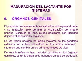 MADURACIÓN DEL LACTANTE POR
              SISTEMAS

9.    ÓRGANOS GENITALES.

El prepucio, frecuentemente es estrecho, sobrepasa el pene
y su retracción sólo permite la visualización del meato
urinario. Después del año, puede deslizarse con facilidad
dejando al descubierto al glande.
En las recién nacidas los labios mayores de los genitales
externos, no cubren el clítoris ni los labios menores,
situación que cambia en los primeros meses de vida.
Durante la niñez no hay grandes cambios en los órganos
genitales, es en la etapa de la pubertad en que se producen.
 