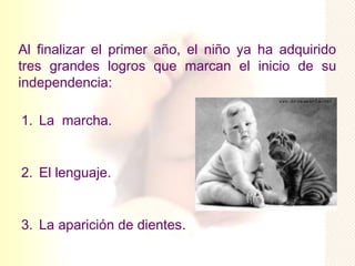 Al finalizar el primer año, el niño ya ha adquirido
tres grandes logros que marcan el inicio de su
independencia:

1. La marcha.


2. El lenguaje.


3. La aparición de dientes.
 