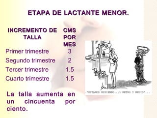 ETAPA DE LACTANTE MENOR.

INCREMENTO DE       CMS
    TALLA           POR
                    MES
Primer trimestre     3
Segundo trimestre    2
Tercer trimestre    1.5
Cuarto trimestre    1.5

La talla aumenta en
un    cincuenta por
ciento.
 