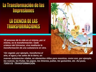 •El proceso de la vida en sí misma, por sí
misma, es la transformación. Cada
criatura del Universo, vive mediante la
transformación de una substancia en otra.
•Un vegetal, por ejemplo, transforma el
aire, el agua y las sales de la tierra, en
nuevas substancias vitales, en elementos útiles para nosotros, como son, por ejemplo,
las nueces, las frutas, las papas, los limones, judías, los guisantes, etc. Así pues,
TODO ES TRANSFORMACIÓN.
 