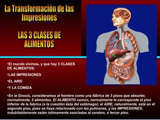 •El mundo vivimos, y que hay 3 CLASES
DE ALIMENTOS:
•LAS IMPRESIONES
•EL AIRE
•Y LA COMIDA
•En la Gnosis, consideramos al hombre como una fábrica de 3 pisos que absorbe,
normalmente, 3 alimentos. El ALIMENTO común, normalmente le corresponde el piso
inferior de la fabrica (a la cuestión ésta del estómago); el AIRE, naturalmente, está en el
segundo piso, pues se haya relacionado con los pulmones, y las IMPRESIONES,
indubitablemente están íntimamente asociadas al cerebro, o tercer piso.
 
