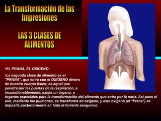 •EL PRANA, EL OXÍGENO:
•La segunda clase de alimento es el
"PRANA", que entra con el OXÍGENO dentro
de nuestro cuerpo físico; es aquél que
penetra por las puertas de la respiración, e
incuestionablemente, existe un órgano, u
órganos especiales para la transformación del alimento que entra por la nariz. Así pues el
aire, mediante los pulmones, se transforma en oxígeno, y este oxígeno (el “Prana") se
deposita posteriormente en todo el torrente sanguíneo.
 