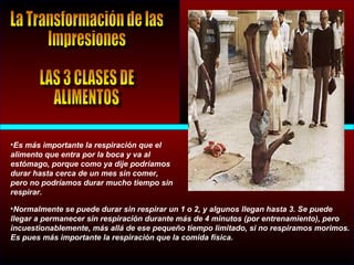 •Es más importante la respiración que el
alimento que entra por la boca y va al
estómago, porque como ya dije podríamos
durar hasta cerca de un mes sin comer,
pero no podríamos durar mucho tiempo sin
respirar.
•Normalmente se puede durar sin respirar un 1 o 2, y algunos llegan hasta 3. Se puede
llegar a permanecer sin respiración durante más de 4 minutos (por entrenamiento), pero
incuestionablemente, más allá de ese pequeño tiempo limitado, si no respiramos morimos.
Es pues más importante la respiración que la comida física.
 