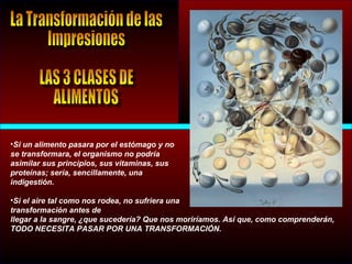•Si un alimento pasara por el estómago y no
se transformara, el organismo no podría
asimilar sus principios, sus vitaminas, sus
proteínas; sería, sencillamente, una
indigestión.
•Si el aire tal como nos rodea, no sufriera una
transformación antes de
llegar a la sangre, ¿que sucedería? Que nos moriríamos. Así que, como comprenderán,
TODO NECESITA PASAR POR UNA TRANSFORMACIÓN.
 