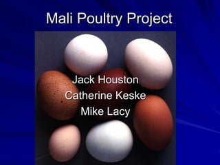 Mali Poultry Project,[object Object],Jack Houston,[object Object],Catherine Keske,[object Object],Mike Lacy,[object Object]