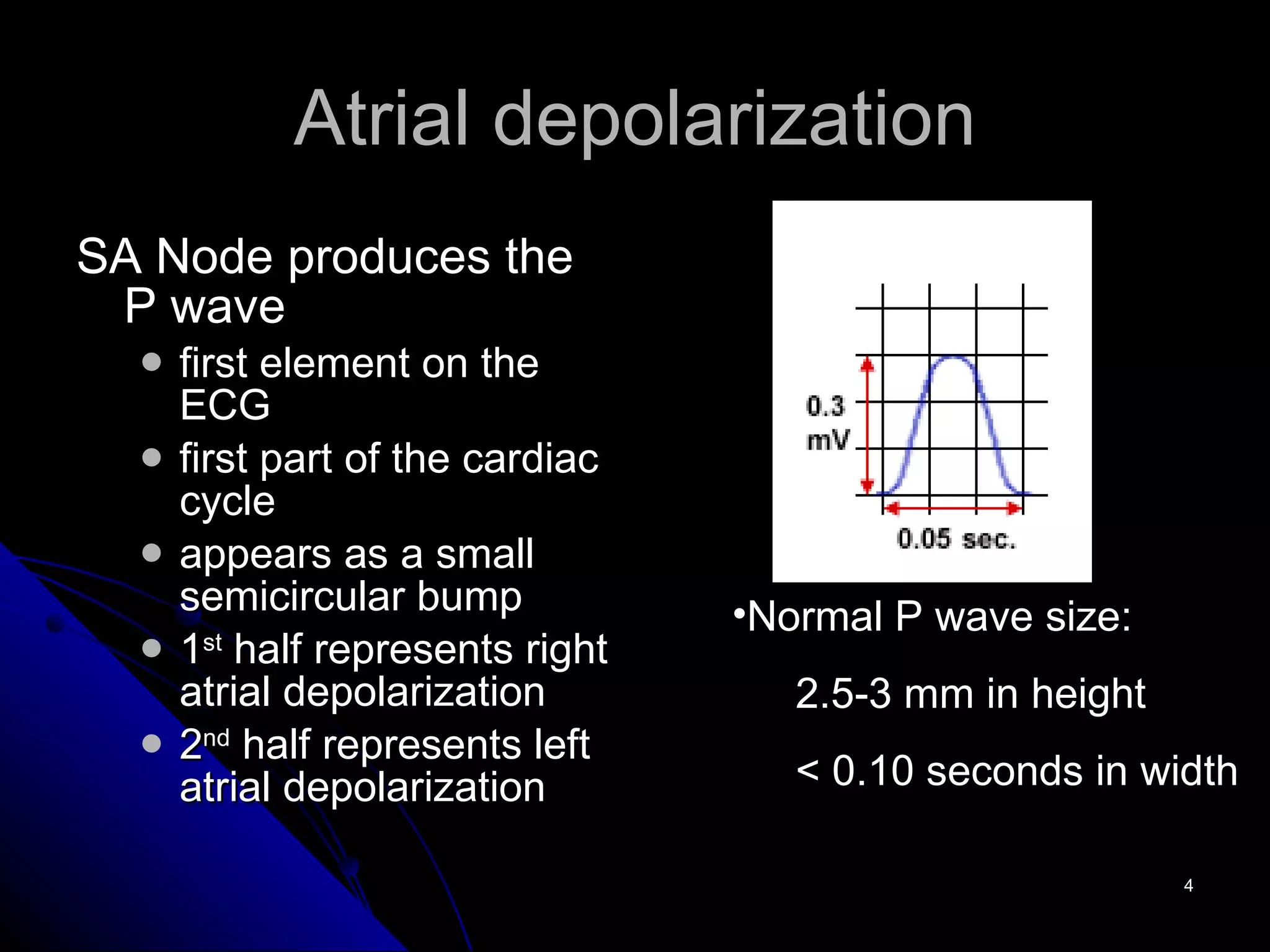 Atrial depolarization SA Node produces the P wave first element on the ECG first part of the cardiac cycle appears as a small semicircular bump 1 st  half represents right atrial depolarization 2 nd  half represents left atrial depolarization Normal P wave size: 2.5-3 mm in height < 0.10 seconds in width 