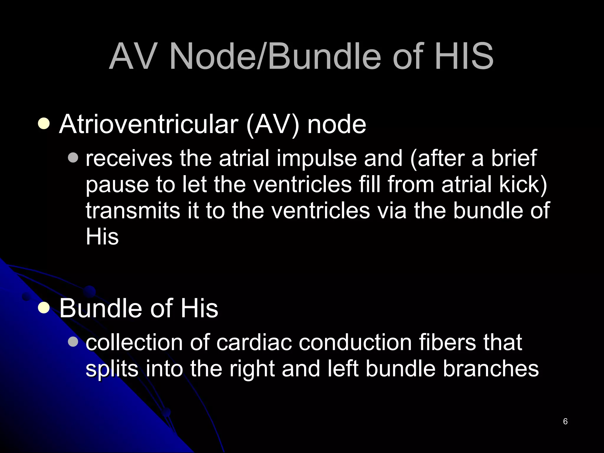 AV Node/Bundle of HIS Atrioventricular (AV) node  receives the atrial impulse and (after a brief pause to let the ventricles fill from atrial kick) transmits it to the ventricles via the bundle of His Bundle of His collection of cardiac conduction fibers that splits into the right and left bundle branches 