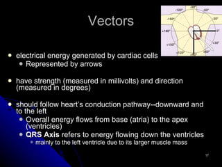 Vectors electrical energy generated by cardiac cells Represented by arrows have strength (measured in millivolts) and direction (measured in degrees) should follow heart’s conduction pathway--downward and to the left Overall energy flows from base (atria) to the apex (ventricles) QRS Axis  refers to energy flowing down the ventricles mainly to the left ventricle due to its larger muscle mass 