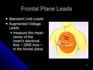 Frontal Plane Leads Standard Limb Leads Augmented Voltage Leads measure the mean vector of the heart’s electrical flow ~ QRS Axis ~ in the frontal plane 