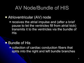 AV Node/Bundle of HIS Atrioventricular (AV) node  receives the atrial impulse and (after a brief pause to let the ventricles fill from atrial kick) transmits it to the ventricles via the bundle of His Bundle of His collection of cardiac conduction fibers that splits into the right and left bundle branches 