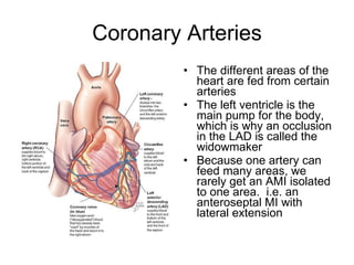 Coronary Arteries The different areas of the heart are fed from certain arteries The left ventricle is the main pump for the body, which is why an occlusion in the LAD is called the widowmaker Because one artery can feed many areas, we rarely get an AMI isolated to one area.  i.e. an anteroseptal MI with lateral extension 