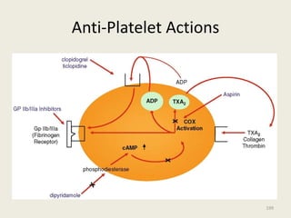 Anti-Platelet Actions
199
 