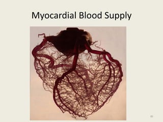 Myocardial Blood Supply
85
 