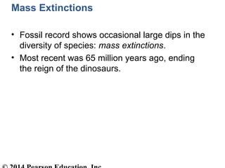 Mass Extinctions
• Fossil record shows occasional large dips in the
diversity of species: mass extinctions.
• Most recent was 65 million years ago, ending
the reign of the dinosaurs.
 