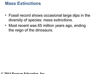 Mass Extinctions
• Fossil record shows occasional large dips in the
diversity of species: mass extinctions.
• Most recent ...