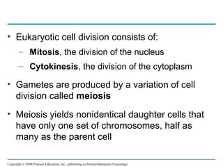 • Eukaryotic cell division consists of:
– Mitosis, the division of the nucleus
– Cytokinesis, the division of the cytoplasm
• Gametes are produced by a variation of cell
division called meiosis
• Meiosis yields nonidentical daughter cells that
have only one set of chromosomes, half as
many as the parent cell
Copyright © 2008 Pearson Education, Inc., publishing as Pearson Benjamin Cummings
 